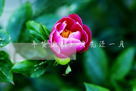 车贷逾期3月先还一月 车贷逾期3月先还一月