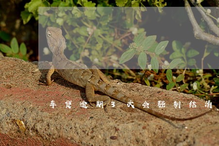 车贷逾期3次会强制结清吗 车贷逾期3次会强制结清吗