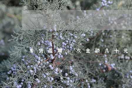 车贷逾期3次金额几十元 车贷逾期3次金额几十元