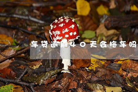 车贷逾期40天会拖车吗