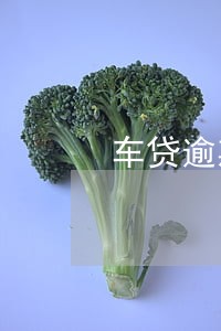 车贷逾期4s店说要收车 车贷逾期4s店说要收车