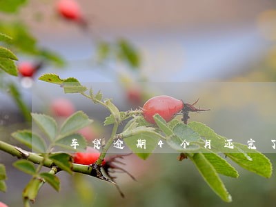 车贷逾期4个月还完了 车贷逾期4个月还完了