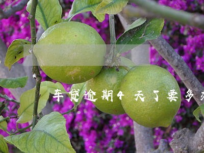 车贷逾期4天了要多交4000 车贷逾期4天了要多交4000
