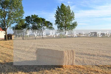 车贷逾期4天会上征信吗