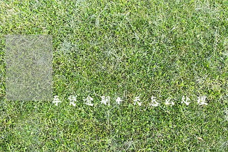 车贷逾期4天怎么处理 车贷逾期4天怎么处理