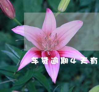 车贷逾期4天有影响大吗 车贷逾期4天有影响大吗