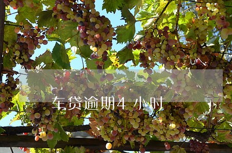 车贷逾期4小时 车贷逾期4小时