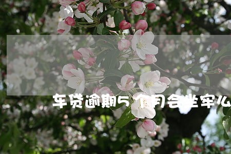 车贷逾期5个月会坐牢么 车贷逾期5个月会坐牢么