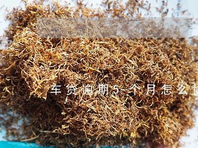 车贷逾期5个月怎么协商延期 车贷逾期5个月怎么协商延期