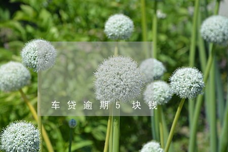 车贷逾期5块钱 车贷逾期5块钱