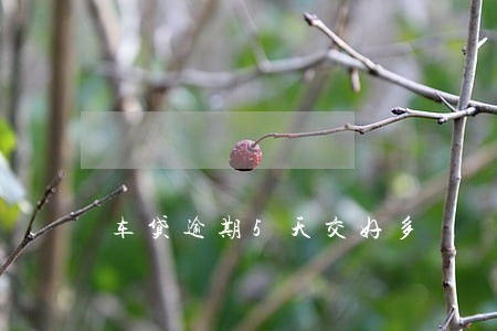 车贷逾期5天交好多 车贷逾期5天交好多