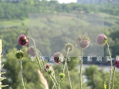 车贷逾期5天影响买房贷款吗 车贷逾期5天影响买房贷款吗