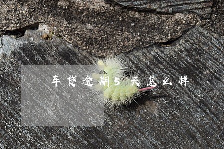 车贷逾期5天怎么样 车贷逾期5天怎么样