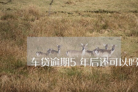 车贷逾期5年后还可以吗