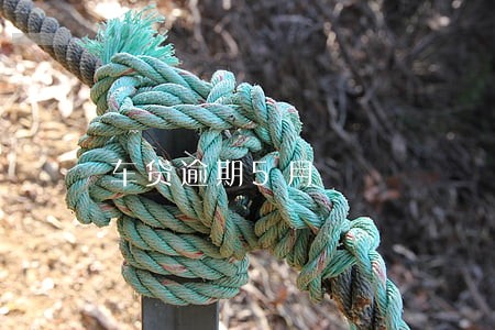 车贷逾期5月 车贷逾期5月