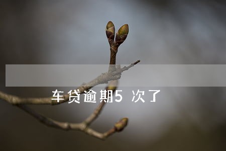车贷逾期5次了 车贷逾期5次了
