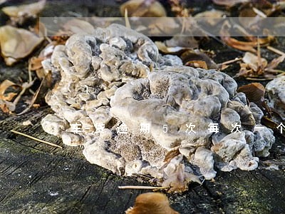 车贷逾期5次每次一个月怎么办 车贷逾期5次每次一个月怎么办