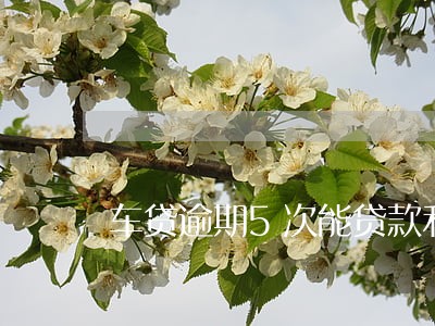 车贷逾期5次能贷款利率 车贷逾期5次能贷款利率