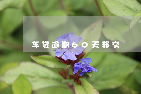 车贷逾期60天移交 车贷逾期60天移交