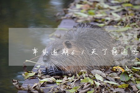 车贷逾期61天了能还吗 车贷逾期61天了能还吗