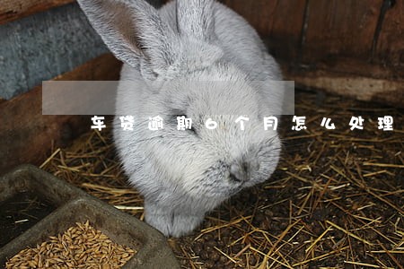车贷逾期6个月怎么处理 车贷逾期6个月怎么处理