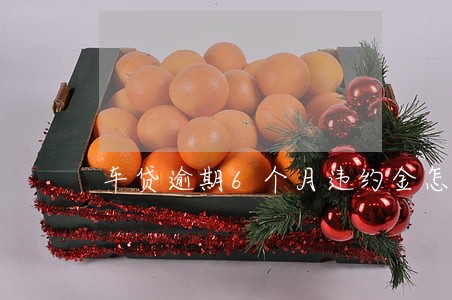 车贷逾期6个月违约金怎么算 车贷逾期6个月违约金怎么算