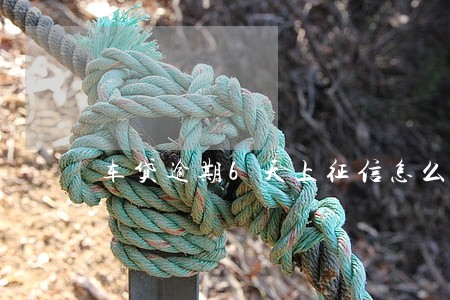 车贷逾期6天上征信怎么办 车贷逾期6天上征信怎么办