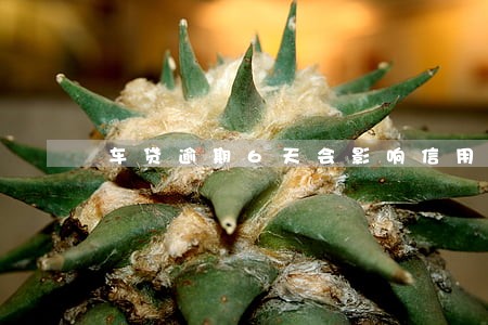 车贷逾期6天会影响信用吗 车贷逾期6天会影响信用吗