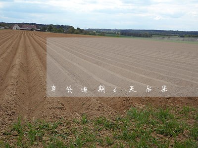 车贷逾期6天后果 车贷逾期6天后果