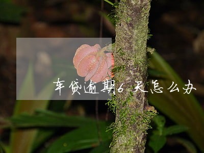 车贷逾期6天怎么办 车贷逾期6天怎么办