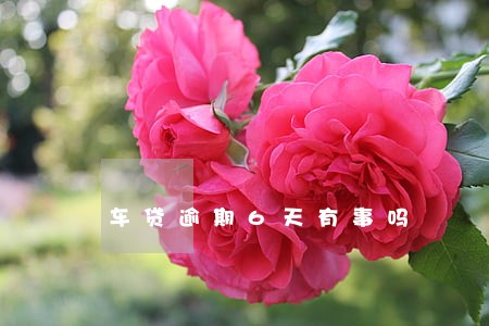 车贷逾期6天有事吗 车贷逾期6天有事吗