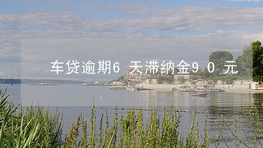 车贷逾期6天滞纳金90元 车贷逾期6天滞纳金90元