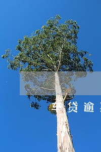 车贷逾期6天罚息怎么计算 车贷逾期6天罚息怎么计算