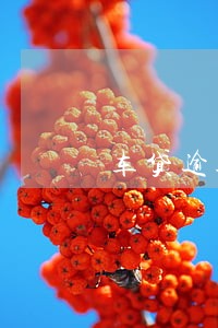 车贷逾期6次家访 车贷逾期6次家访
