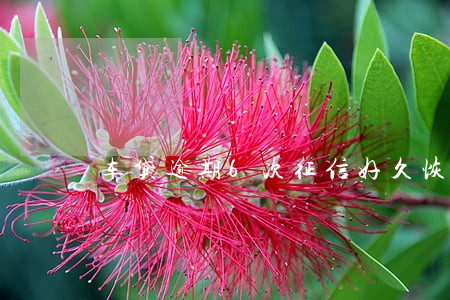车贷逾期6次征信好久恢复 车贷逾期6次征信好久恢复