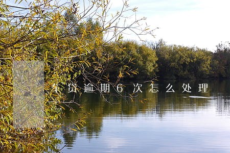 车贷逾期6次怎么处理 车贷逾期6次怎么处理