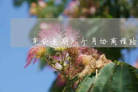 车贷逾期7个月协商经验 车贷逾期7个月协商经验
