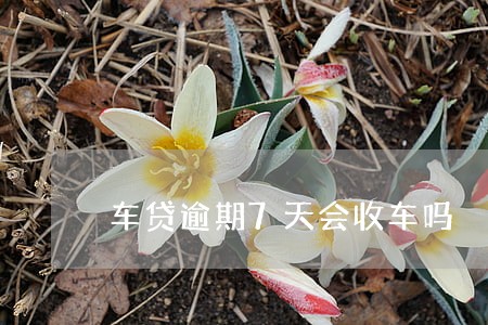 车贷逾期7天会收车吗 车贷逾期7天会收车吗