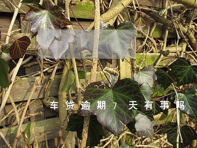 车贷逾期7天有事吗 车贷逾期7天有事吗