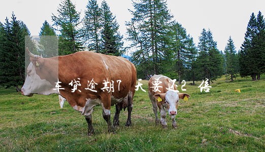 车贷逾期7天要还2倍 车贷逾期7天要还2倍