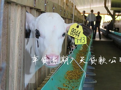 车贷逾期7天贷款公司委外 车贷逾期7天贷款公司委外