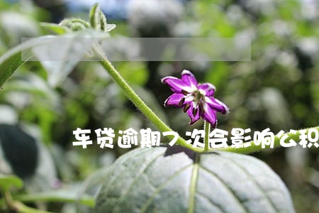 车贷逾期7次会影响公积金吗 车贷逾期7次会影响公积金吗