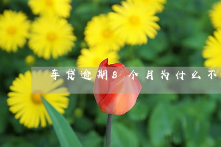 车贷逾期8个月为什么不拖车 车贷逾期8个月为什么不拖车
