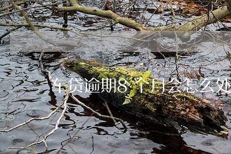 车贷逾期8个月会怎么处理 车贷逾期8个月会怎么处理
