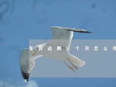 车贷逾期8个月怎么处理 车贷逾期8个月怎么处理
