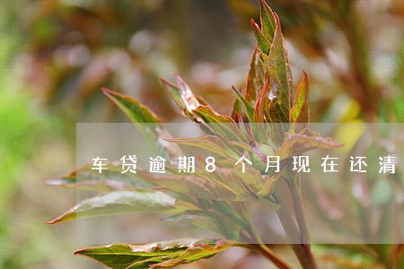 车贷逾期8个月现在还清了 车贷逾期8个月现在还清了
