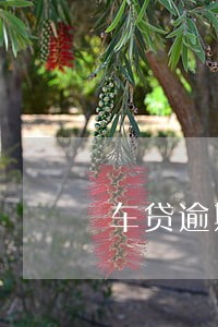 车贷逾期8天会上征信吗 车贷逾期8天会上征信吗