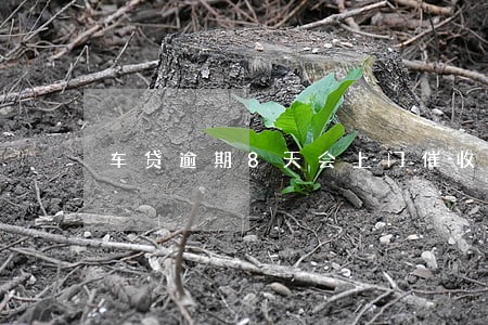 车贷逾期8天会上门催收吗 车贷逾期8天会上门催收吗