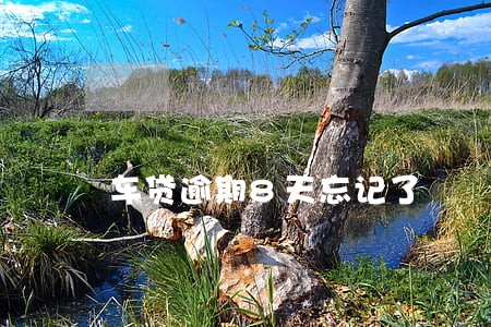 车贷逾期8天忘记了 车贷逾期8天忘记了