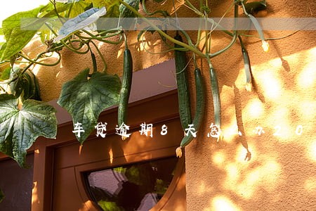 车贷逾期8天怎么办2020年 车贷逾期8天怎么办2020年